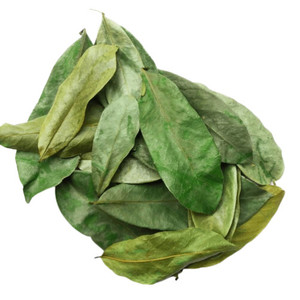 Feuilles de corossol séchées pour tisane, origine Vietnam, marque privée disponible, vente en gros, approvisionnement en vrac, certification COA, flexible - Product Image 3