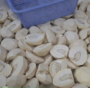 Trozos de Fruta del Pan Congelados IQF, Hechos con Material Natural de Fruta del Pan, Aptos para Servicios de Alimentación y Venta al por Menor, Vietnam - Product Image 5