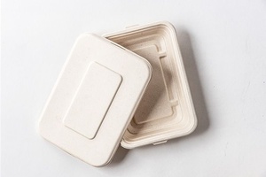 Boîte alimentaire jetable robuste en bagasse 750 ml, conteneur à emporter en fibre naturelle, boîtes anti-fuite, boîtes repas compostables non blanchies - Product Image 1