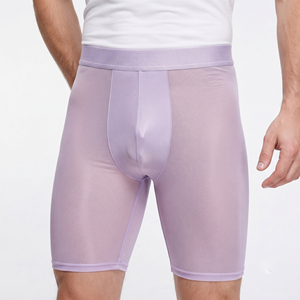 Calzoncillos Cortos Transparentes para Hombre, Cintura Alta, 100% Poliéster, Shorts Transparentes, Shorts Sexys para Hombre - Product Image 1