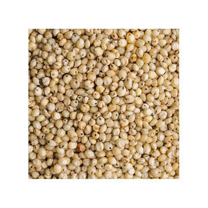 Sorghum rouge et blanc à vendre / Farine de sorghum blanche / Grains de sorghum aux meilleurs prix. - Product Image 1