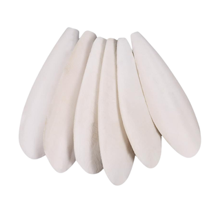 Os de Seiche Bio de Haute Qualité – Supplément Naturel de Calcium Pur pour la Santé des Animaux - Product Image 1