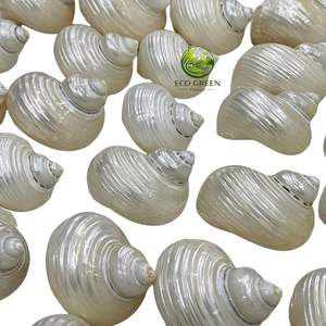 Anillos para Servilletas de Concha de Nácar Iridiscente Natural, Elegantes Porta Servilletas de Concha Marina para Decoración de Mesa de Verano Estilo Casa de Playa - Product Image 5