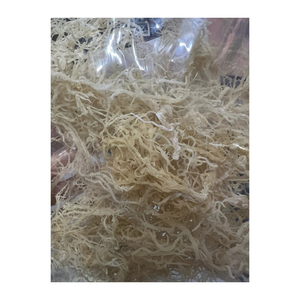 Algas Marinas Secas Naturales Cotton II Sin Sal de Vietnam, Algas Crudas Secas al Sol, Exportación a Granel - Product Image 3