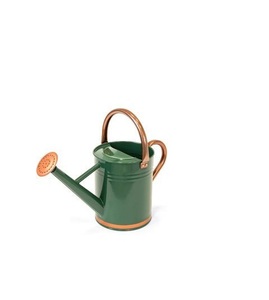 Arrosoir décoratif moderne en métal avec surface émaillée imprimée, léger et durable pour les besoins de jardinage intérieur et extérieur - Product Image 3