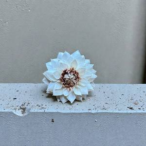 Fleur de Dahlia Rouge en Bois Sola Naturel 8-8,5 CM – Aromathérapie Durable Faite à la Main - Product Image 3