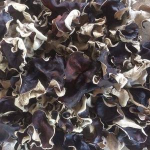 Tranches de champignons noirs séchés hachées - Product Image 3