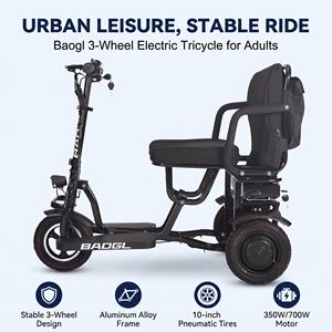Tricycle électrique de loisirs urbain à trois <span class=keywords><strong>roues</strong></span> pour adultes, moteur 350W, pneu 10 pouces, cadre en alliage d'aluminium, personnalisable - Product Image 3