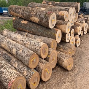 Venta al por Mayor de Madera Dura de Teca Personalizada/Troncos de Madera de Eucalipto en Oferta con Precio Económico para el Mercado Mundial - Product Image 6