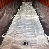 Contenedor Flexitank de 20 pies y 20000 L BW BWF00001 Desechable, Grado Alimenticio, Certificado ISO, para Diésel, Productos Químicos No Peligrosos, Ácido Clorhídrico