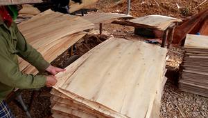 ไม้วีเนียร์ราคาถูกทุกขนาด ไม้ธรรมชาติราคาประหยัดสำหรับตลาดสหรัฐอเมริกา - Product Image 3