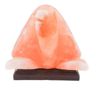 Lámpara de Sal del Himalaya en Forma de Tortuga, Luz de Sal Rosa Natural, Diseño Moderno, Resistente al Fuego, para Sala de Estar y Cocina - Product Image 5