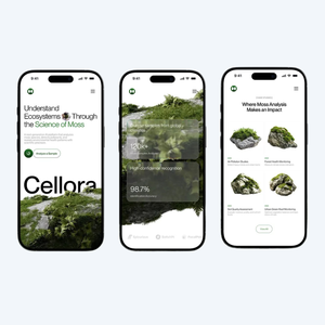 บริษัทผู้เชี่ยวชาญด้านการพัฒนาเว็บไซต์และแอปพลิเคชันในอินเดีย - Protolabz eServices - Product Image 4