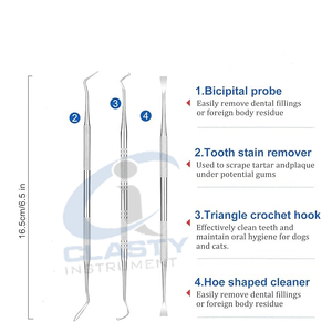 Détartreur dentaire double extrémité pour le nettoyage des dents, instrument de dentiste pour l'élimination du tartre et du calcul dentaire, outil d'hygiène buccale approuvé ISO - Product Image 6
