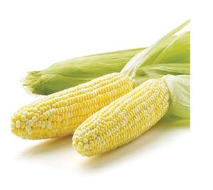 Maïs jaune de dernière génération pour le marché international - Product Image 4
