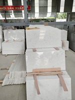 Marbre blanc cristallin vietnamien de qualité supérieure avec finition polie pour comptoirs de cuisine et plans de toilette de salle de bain
