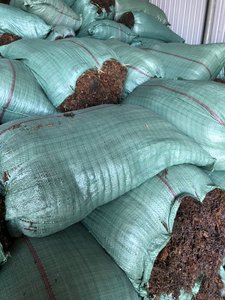 Muticum de sargasses séchées de haute qualité/poudre d'algues séchées pour l'alimentation animale du Vietnam/Mme Jessi - Product Image 6