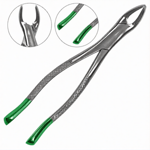 Pinzas de Extracción Ergonómicas Universales de Acero Inoxidable # 151 Extractor de dientes quirúrgico de mango verde para dientes inferiores - Product Image 2