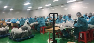 Uvas de Mar Deshidratadas Naturales, Suministro a Granel para Compradores Internacionales, Vietnam - Product Image 3