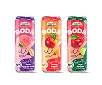 Boisson gazeuse personnalisée 330ml Nawon, jus de prune gazeux sans alcool, fabricant de boissons en canettes OEM ODM