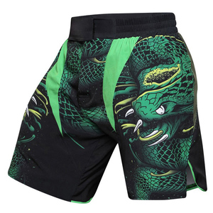 Shorts de boxe MMA unisexes, rayures latérales vertes, taille haute, coupe élastique, pour l'entraînement, le sparring, le kickboxing, vêtements de sport - Product Image 2