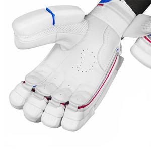 Nuevos guantes de bateo de críquet cómodos, guantes de críquet de calidad profesional, personaliza el logotipo, tamaño y color, guantes de críquet - Product Image 2