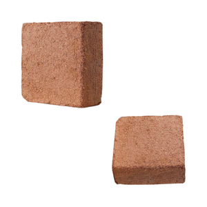 ราคาสมเหตุสมผล วัสดุปลูกจากใยมะพร้าว ช่วยให้ดินมีการระบายอากาศ รากแข็งแรง บำรุงรากให้เจริญเติบโต เหมาะสำหรับพืชทุกชนิด มีจำหน่ายแล้ว - Product Image 1