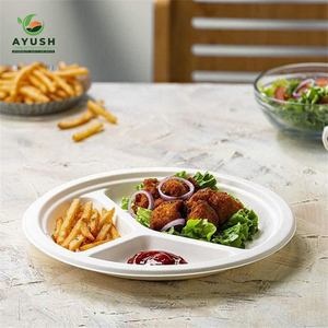 Assiettes jetables pratiques en bagasse, fabriquées à partir de la consoude de canne à sucre, idéales pour les réceptions de bienvenue et les événements culinaires. - Product Image 4