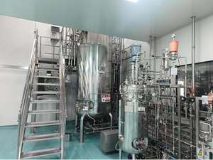 Bailun Bio Suspension Culture Bioréacteur vibrant Photobioréacteur algues 400L fermenteur conique BLBIO-SJL - Product Image 6