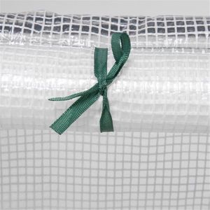 Mini Serra Walk-in per Coltivazione Idroponica, Dimensioni Ridotte, Pronta per l'Inverno, Struttura in Acciaio/Plastica/Alluminio/Legno, Materiale PVC - Product Image 6