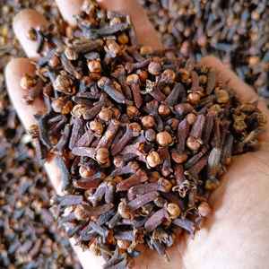 Produits agricoles de girofle - Product Image 1