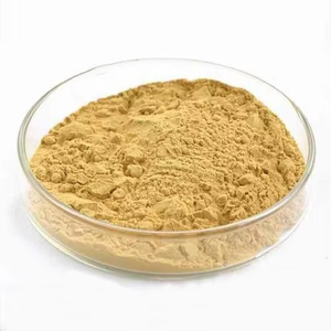 Poudre d'extrait de levure 100 % naturelle à mailles fines, pure, de qualité alimentaire, à base de plantes, contribue à améliorer la digestion et la santé globale - Product Image 1