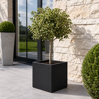 Jardinière carrée en fibre de verre robuste, gris anthracite, pour extérieur, espace public, jardin, pot à fleurs, finition mate foncée, conteneur pour plantes.
