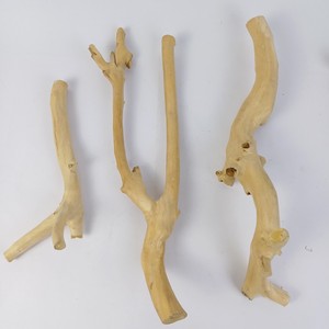 สินค้าขายส่งยอดนิยมปี 2026 ไม้กาแฟ (ไม้จาวา) แท่นเล่นสำหรับนกแก้ว อุปกรณ์สำหรับนกแก้วจากผู้ผลิตในเวียดนาม - Product Image 4