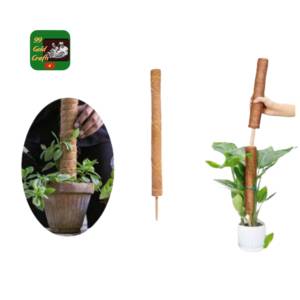 Nouveaux bâtons de cocotier et poteaux en fibre de coco 2026 pour support de plantes d'intérieur et d'extérieur, idéaux pour les plantes grimpantes de jardin, en provenance du Vietnam - Product Image 2
