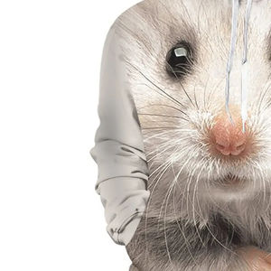 Sudadera con sublimación de alta calidad para hombre y mujer en diferentes tallas con logo personalizado, sudadera con sublimación para mujer - Product Image 5