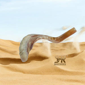 Shofar de cuerno de carnero natural pulido Shofar único para festivales Reuniones religiosas Ceremonias espirituales Prácticas culturales - Product Image 6