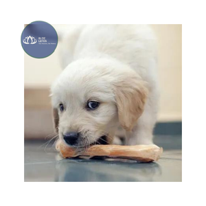 Jouet à mâcher pour chien en bois de café, durable, naturel, sans produits chimiques, pour le nettoyage dentaire des chiens - VENTE CHAUDE - Product Image 1