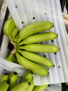 Plátanos Cavendish frescos de alta calidad, gran volumen de exportación a Asia/Oriente Medio - Product Image 5