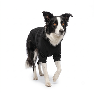 Dog Sweatshirt with Fleece Blend Custom <b>Clothes</b> Small Medium Large Cute Comfortable Warm Durable Cozy Trendy - Product Image 5