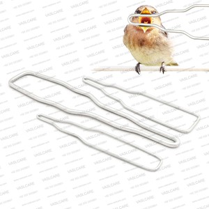Professional Avian Oral Speculum Set 3pcs Stainless Steel Veterinary Bird Mouth Gag Instrument <b>Kit</b> Vaslcare - Product Image 1