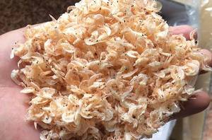 กุ้งแห้งเวียดดัลต้าเวียดนาม |   กุ้งแวนนาไมตากแดด |   จำหน่ายส่งแบบยกแพ็ค 10 กก. อายุการเก็บรักษา 12 เดือน - Product Image 5