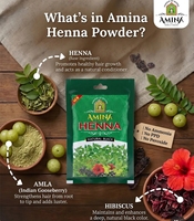 Polvo de Coloración Capilar a Base de Hierbas de Henna, Ingredientes Naturales Semipermanentes |   Suministro al por Mayor de Amina