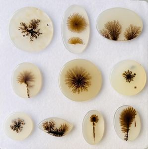 Lote al por mayor de cabujones de ágata musgosa dendrítica natural, gemas sueltas de formas variadas para la fabricación de joyas - Product Image 4