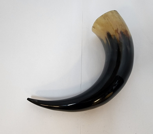 Buffalo <b>Decorative</b> Horn Item Sculpture Acrylic Stand Natural Shape 100% Best Natural Buffalo <b>Decorative</b> Horn - Product Image 5