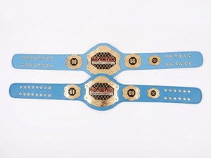Cinturón de Campeonato Brasileño de UFC MMA, Personalizado, de Cuero Suave Impermeable, Metal de Zinc/Latón, Unisex, OEM ODM - Product Image 2