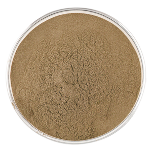 Bulk Supply Shatavari Root <b>Extract</b> 10:1 Natural Asparagus Racemosus Powder for Natural Women Wellness Hormonal Balance Support - Product Image 5