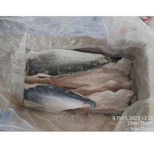 Filets de poisson Pangasius surgelés du Vietnam, qualité A/B, emballage en vrac IQF, 10-12 cm, avec peau, durée de conservation de 24 mois, produits de la mer - Product Image 3