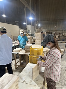 Portes d'armoires de cuisine en bois massif, vente en gros, façades d'armoires personnalisées, style Shaker, matériaux durables et écologiques, approvisionnement en vrac - Product Image 4