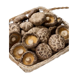 Hongos Shiitake Secos Blanqueados de Alta Calidad, Proteína Vegetal Natural, Blue Lotus Brown Wild, 12 Meses de Duración - Product Image 3